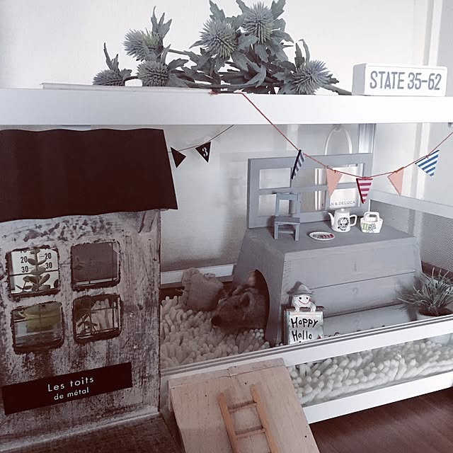 saokoさんの実例写真