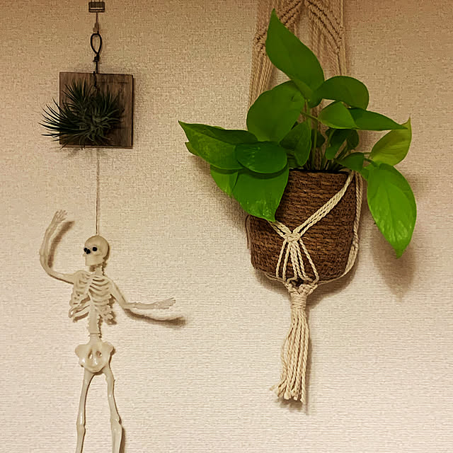 helmet_obake_chanさんの実例写真