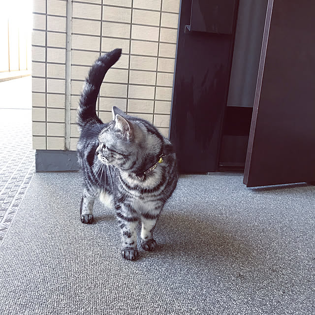 hiyupan88さんの実例写真