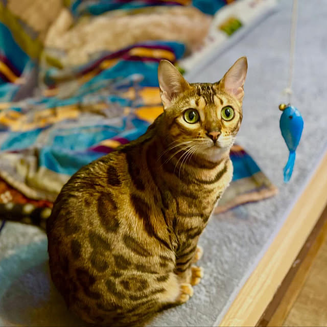 tututu0204さんの部屋