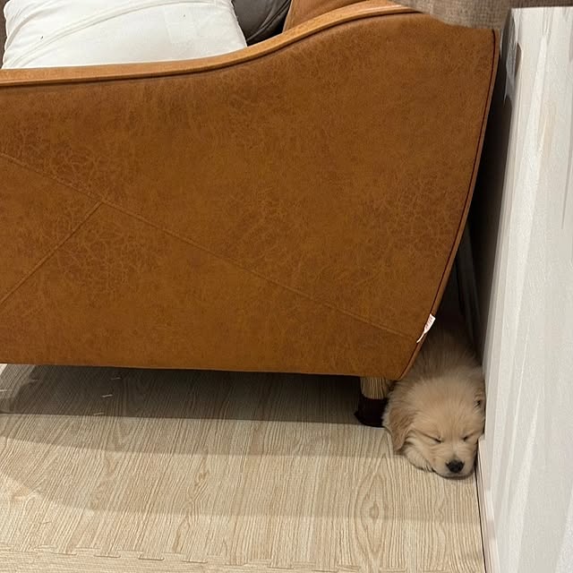 mogさんの部屋