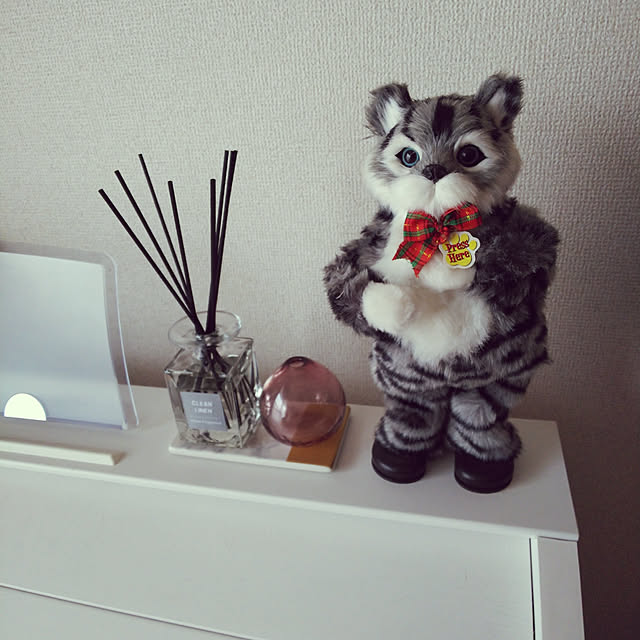 Shimamikeさんの実例写真