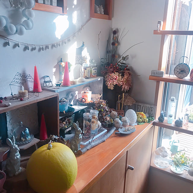 portulacaさんの実例写真