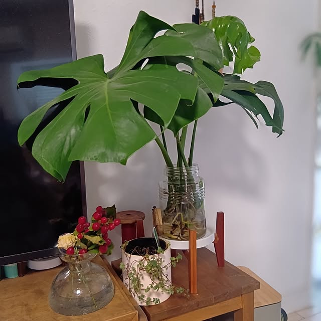 tomomiさんの部屋