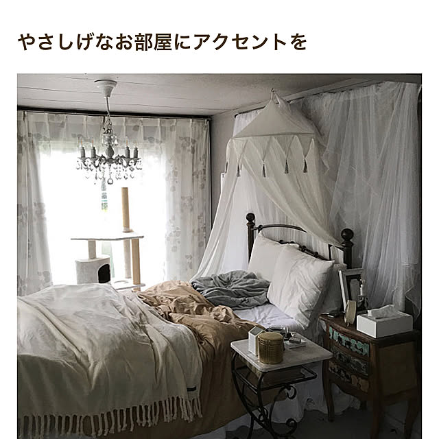 Shihoさんの実例写真