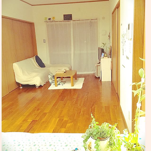 hatsu.0202さんの実例写真