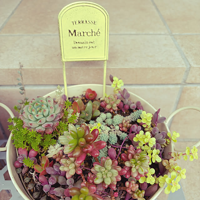 naotokahoさんの部屋