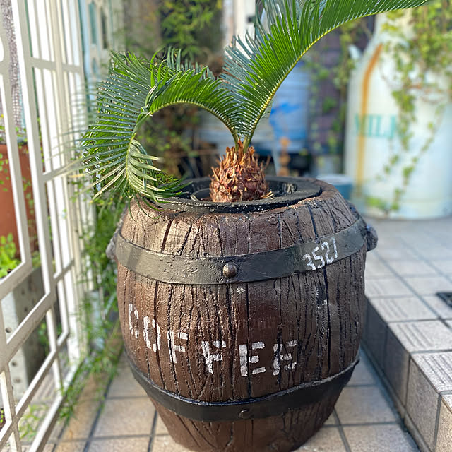 Hirokoさんの実例写真