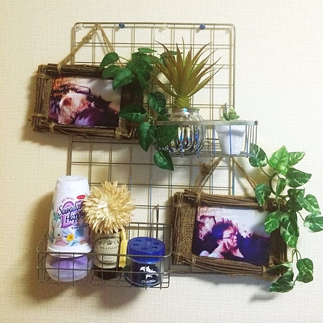 hakuさんの実例写真