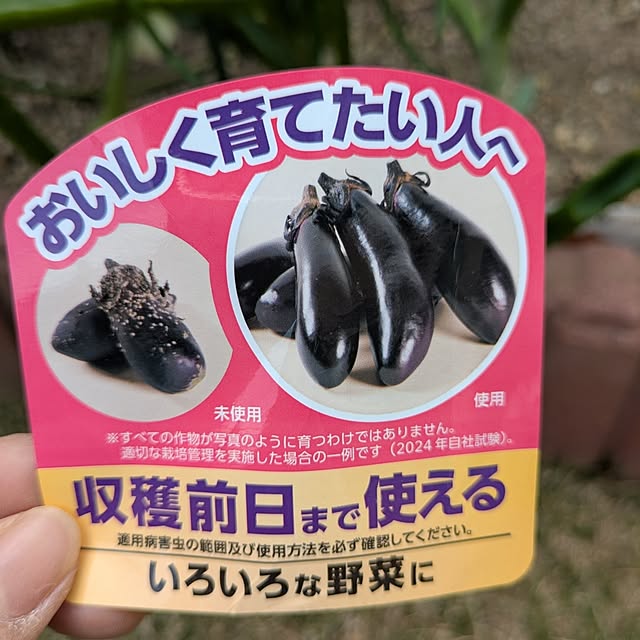 Miyumamaさんの部屋