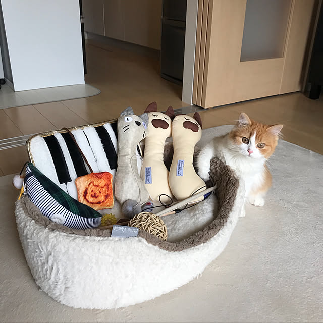 H.Tさんの実例写真