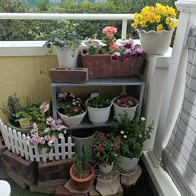 annaさんの部屋
