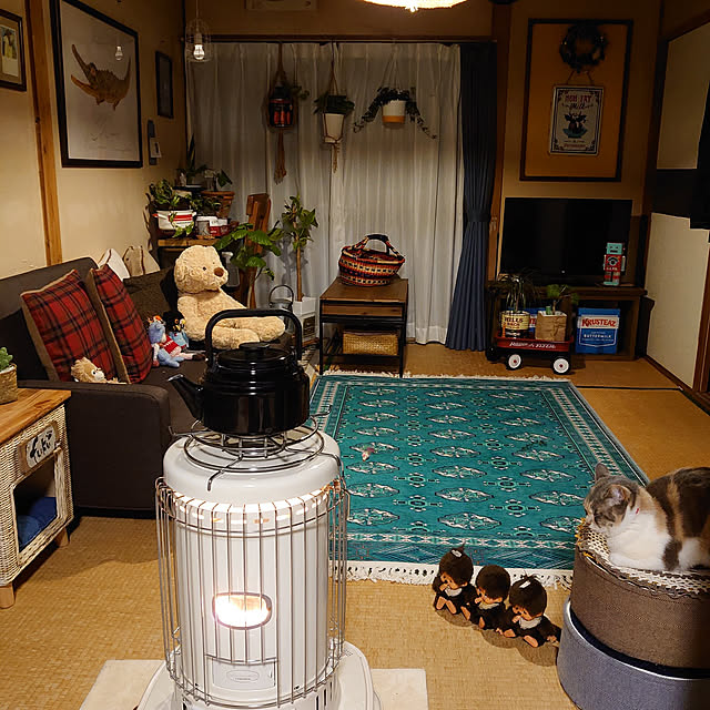 fukuさんの実例写真