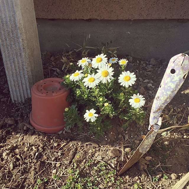 kasさんの実例写真