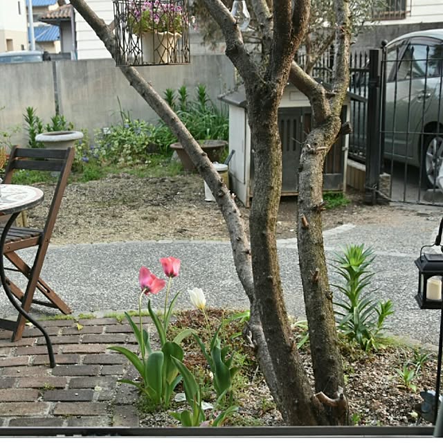 ruru357さんの実例写真