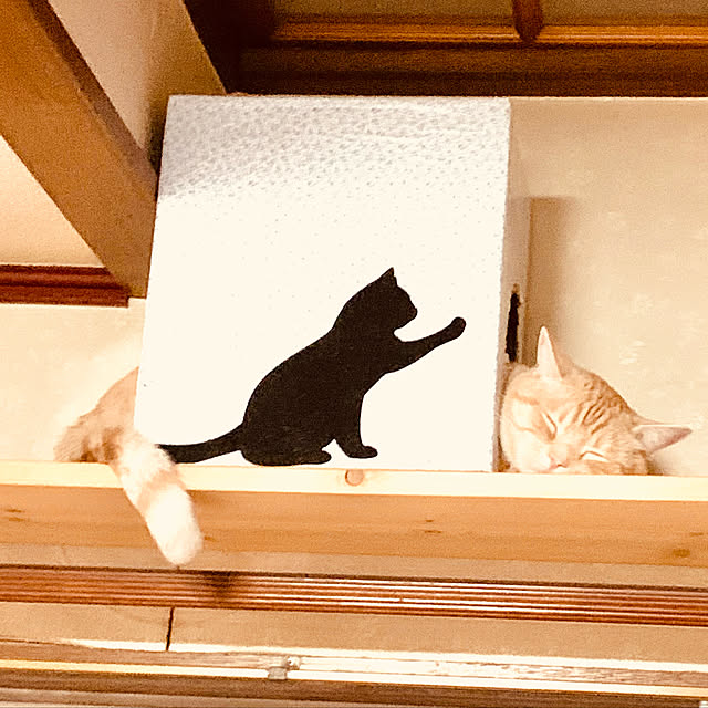 ねこばかりすみませんm(._.)m/ハンドメイド/ねこのいる日常/猫大好き♡/壁/天井のインテリア実例 - 2021-02-01 07:50:50