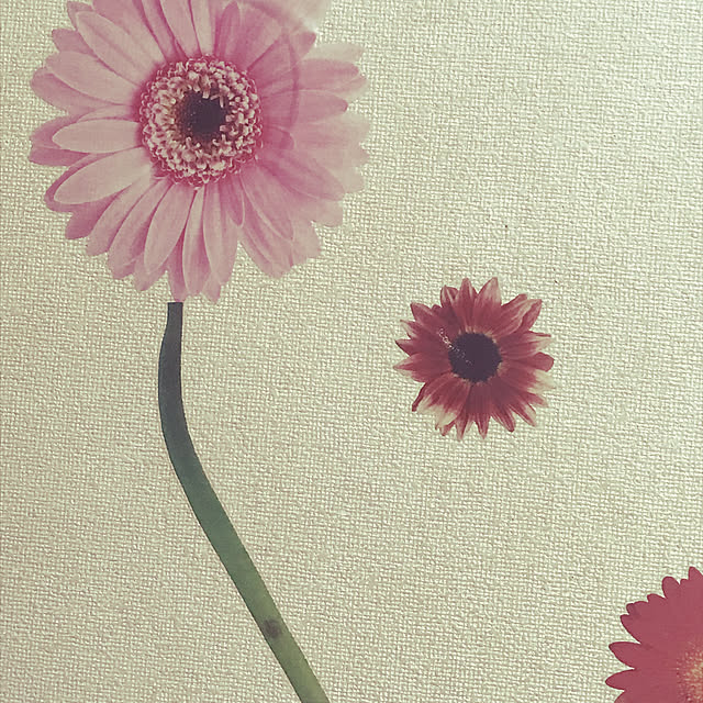 kintaroさんの実例写真