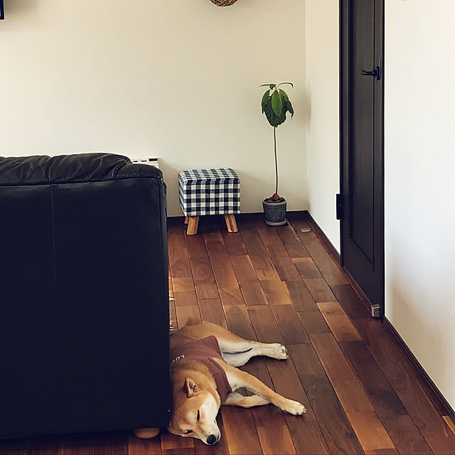 kaOriさんの実例写真