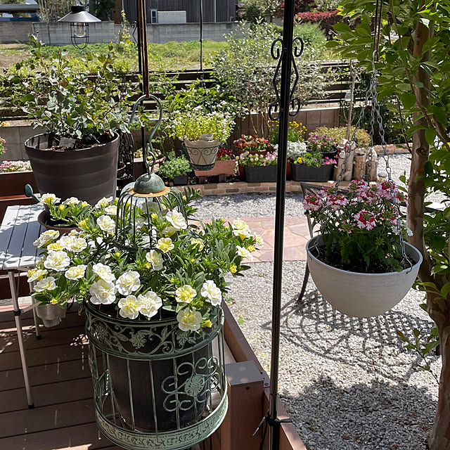 ronronさんの部屋