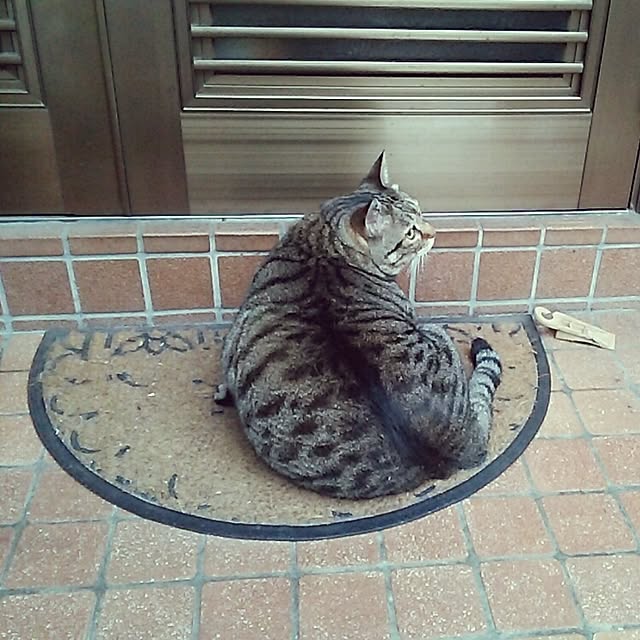 mcomcoさんの実例写真