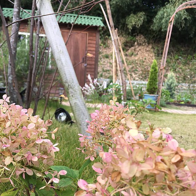 yukiさんの実例写真