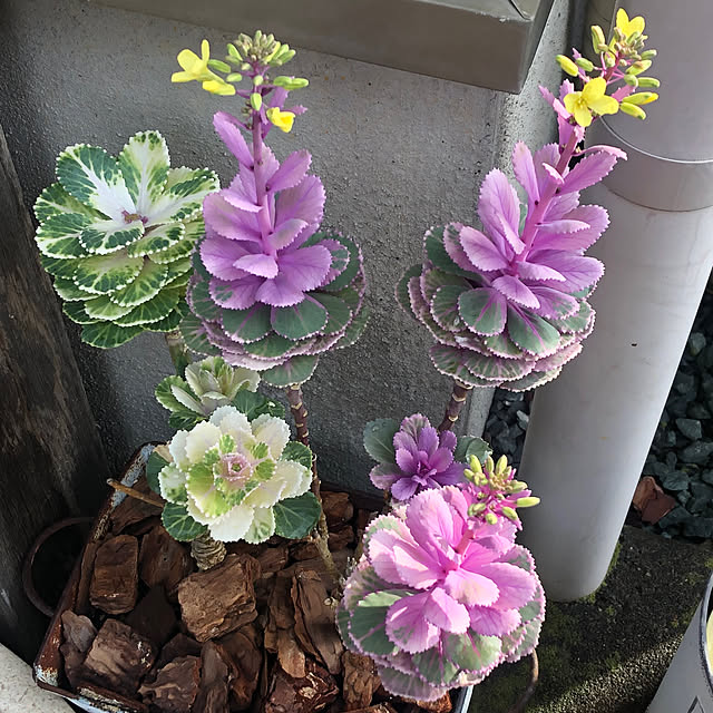 yukkoさんの部屋