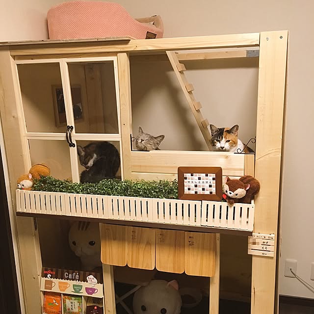 mtktw18さんの実例写真
