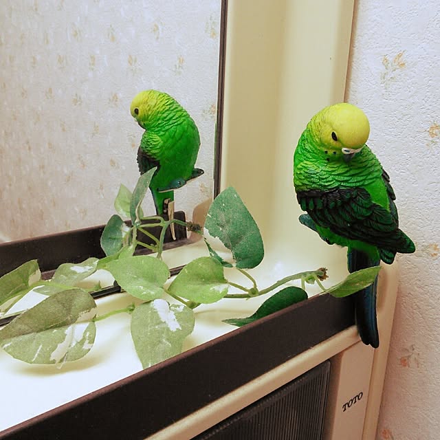 norarinさんの実例写真