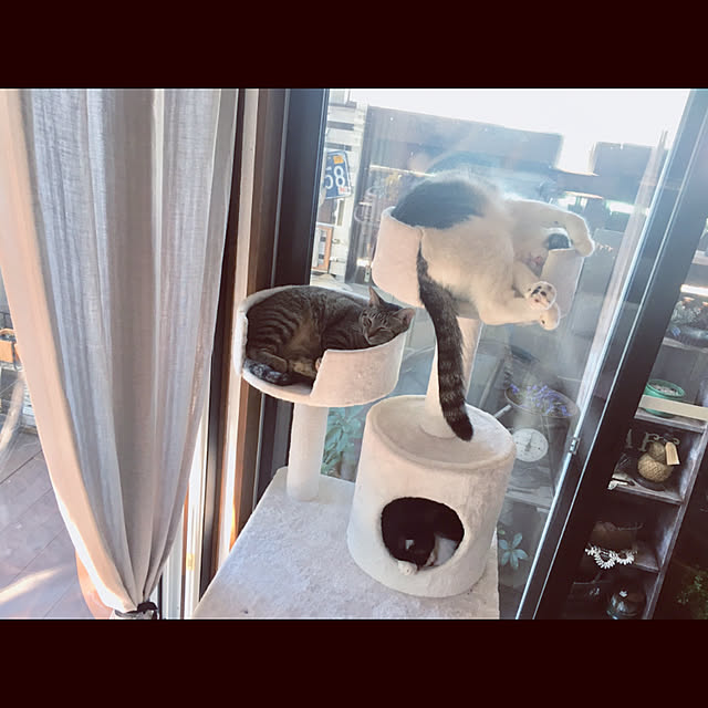 marusanさんの実例写真