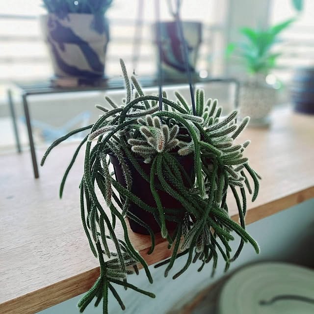 Rさんの部屋