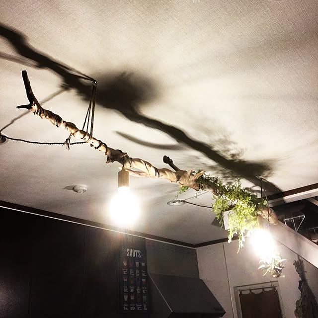 Hirohitoさんの実例写真