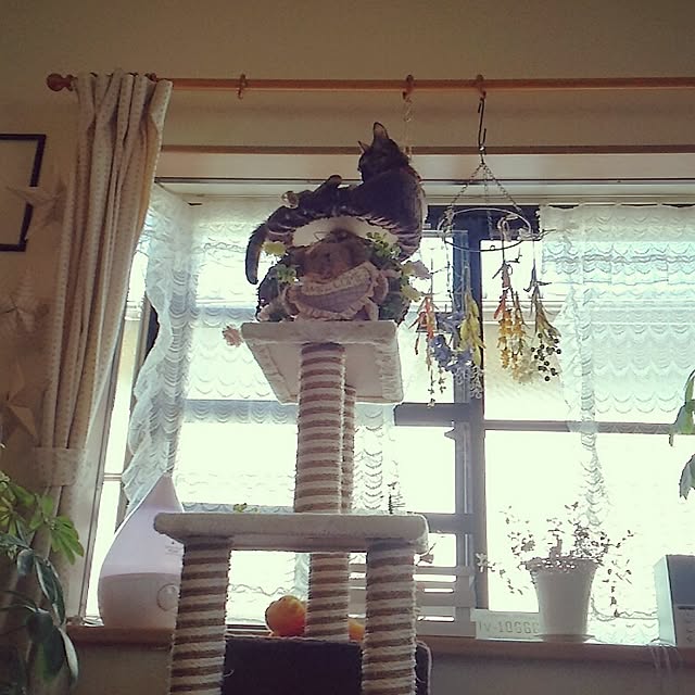 mcomcoさんの実例写真