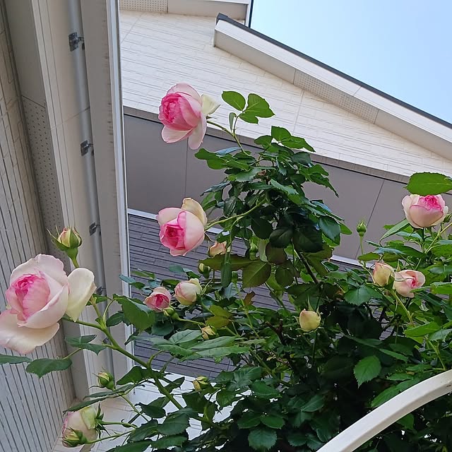 aiさんの部屋