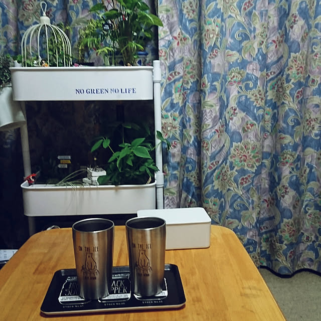 todorinkoさんの実例写真