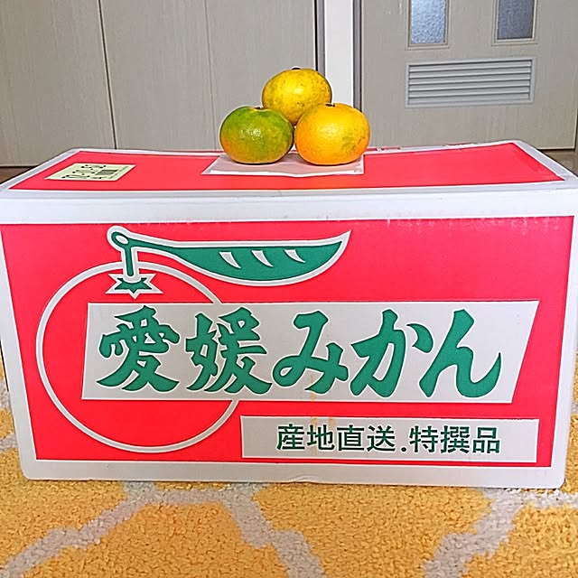 Yuukaさんの実例写真