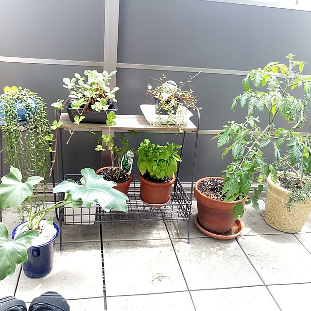 Rororiさんの実例写真