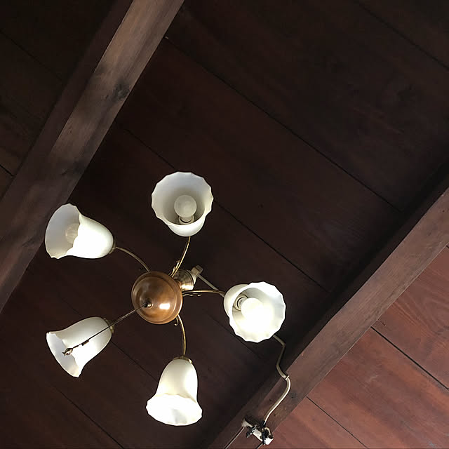 照明/実家/壁/天井/天井のインテリア実例 - 2019-05-05 23:04:38