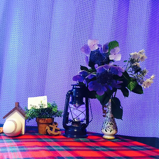 noburin8591さんの実例写真