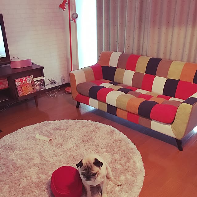 suguruさんの実例写真