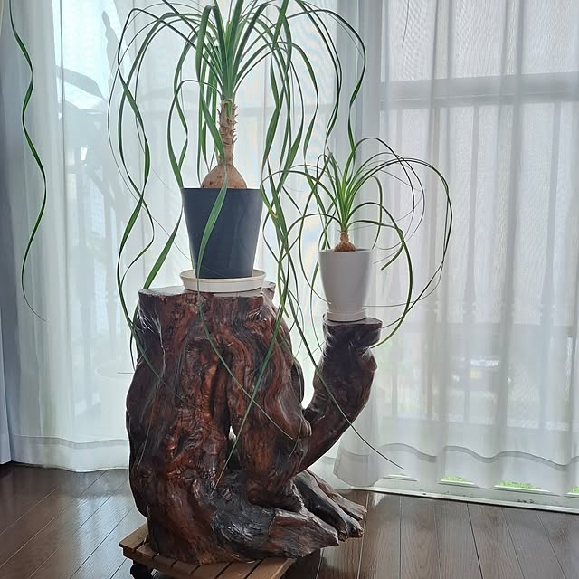 midoriさんの部屋