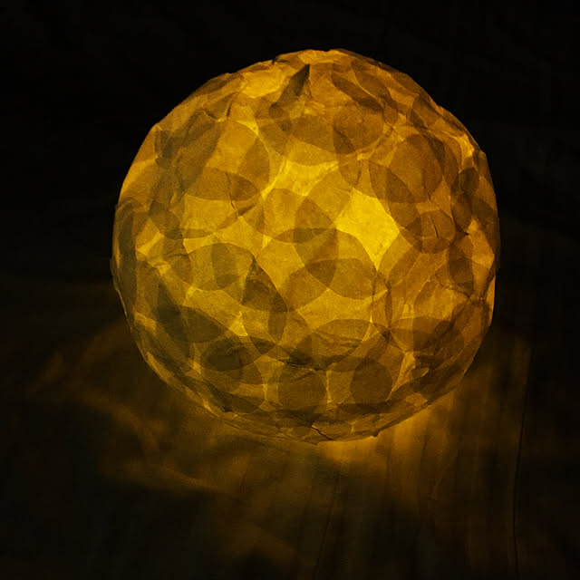 Sakiさんの実例写真