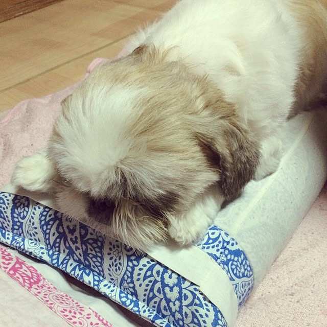 lenkaさんの実例写真
