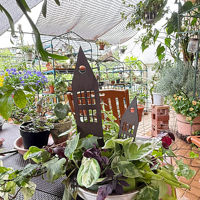 部屋全体/心地よい暮らし/グリーンに囲まれて暮らす/グリーンに囲まれています❤/グリーン...などのインテリア実例 - 2026-05-01 19:34:53