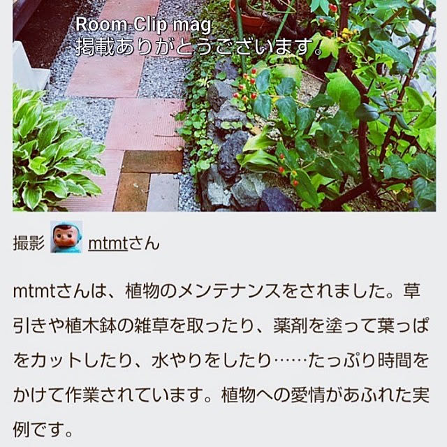 mtmtさんの実例写真