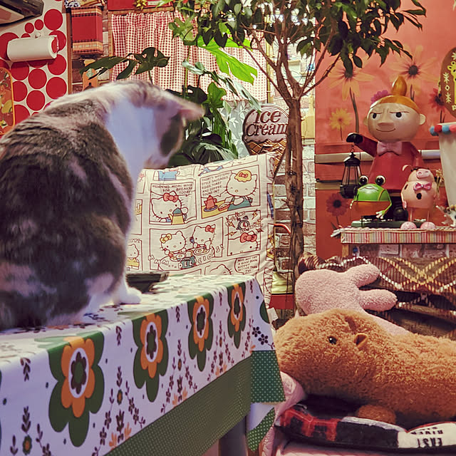 kumutanさんの実例写真