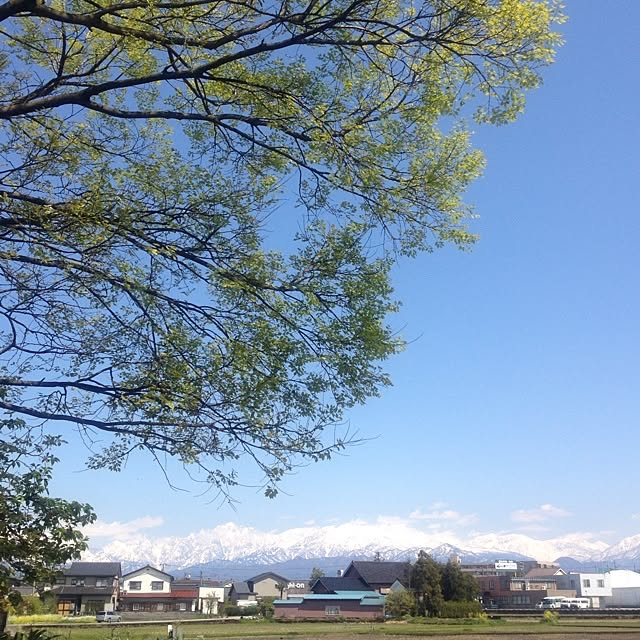 kaさんの実例写真