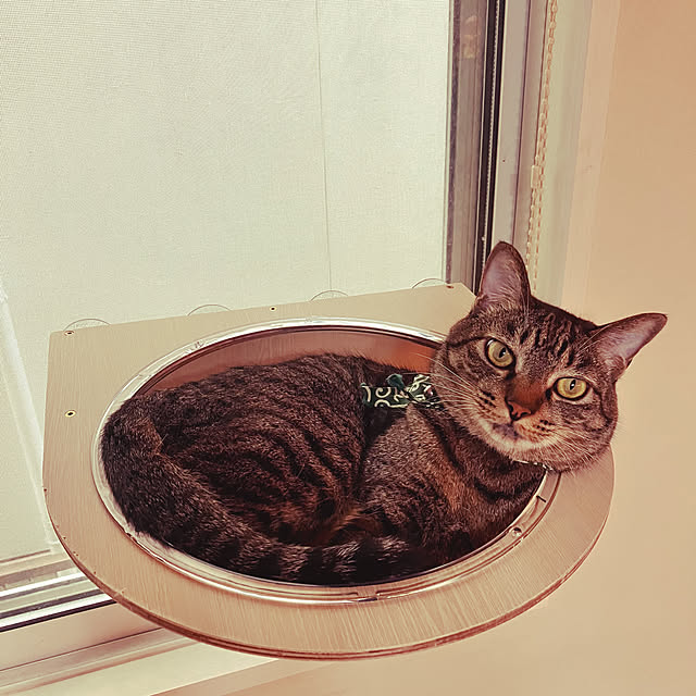 machaさんの部屋