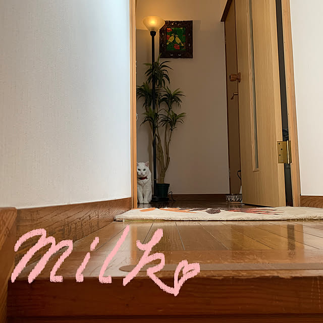 simayaさんの実例写真