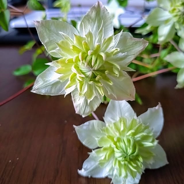 makotomosukeさんの部屋