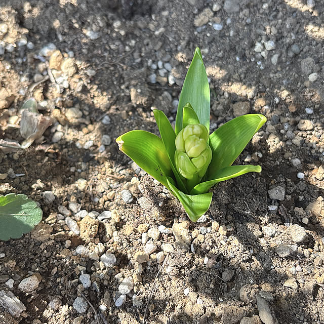 miyu39さんの部屋